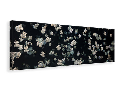 Leinwandbild Panorama Just Some Jellies