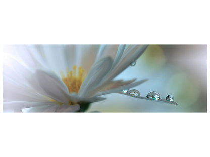 Leinwandbild Panorama Light Touch