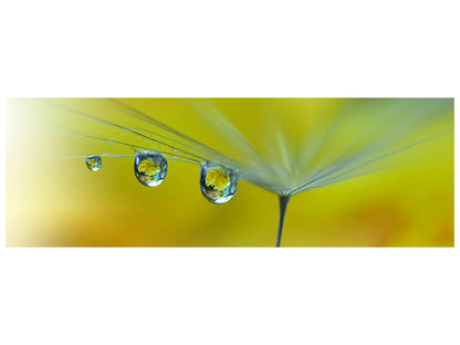 Leinwandbild Panorama Sunbeam III