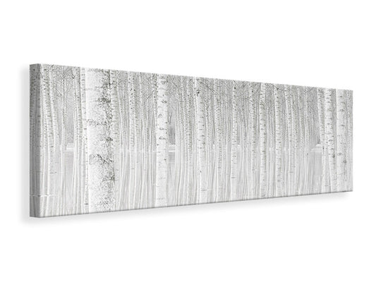 Leinwandbild Panorama Trees