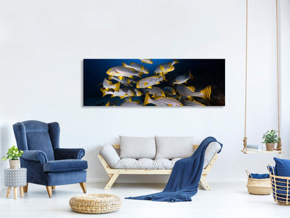 Leinwandbild Panorama Underwater Photography-Indian Ocean Sweetlips