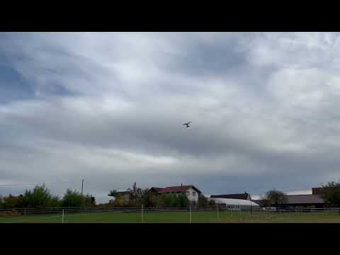 Sky Bird blau
