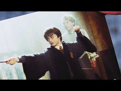 BrainBox - Harry Potter (f)