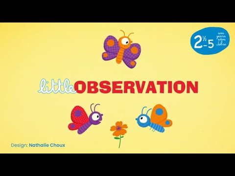 Little Observation (mult)