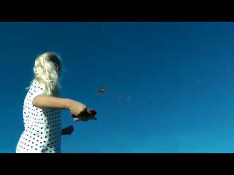 3D-Drachen Dragon 102cm