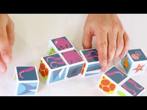 People Ocean Animals