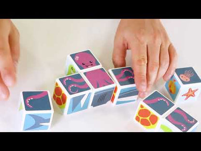 People Ocean Animals