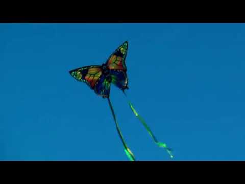 Einleiner-Drachen Butterfly