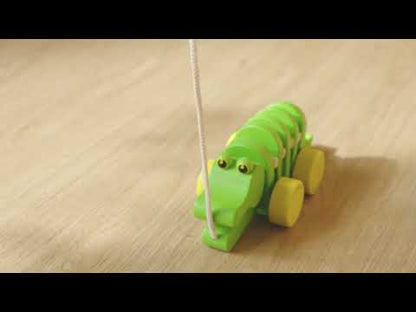 Tanzender Alligator/ Krokodil