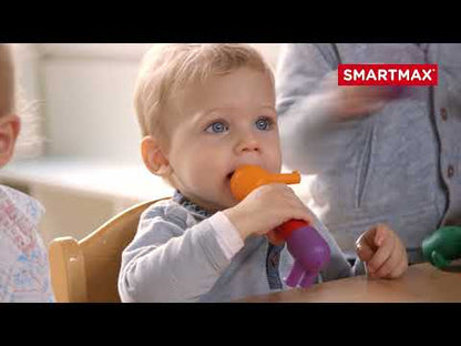 My First Safari Animals (mult)