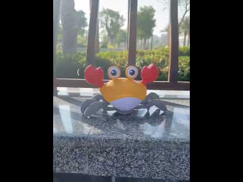 Totally Trendy laufende Krabbe mit Musik & Sensor