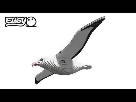 3D Bastelset Royal Albatross