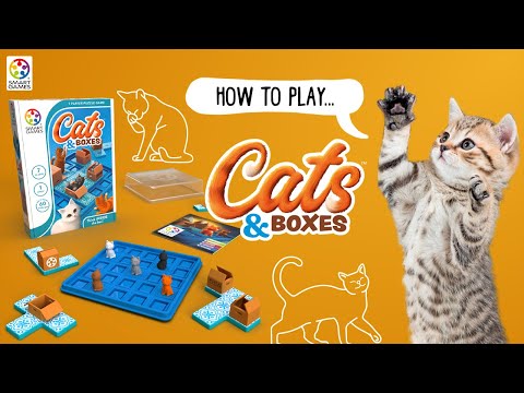 Cats & Boxes (mult)