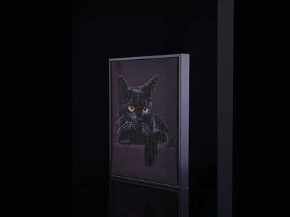 Diamond Painting Schwarze Katze