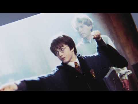 BrainBox - Harry Potter (d)