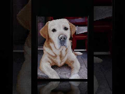 Diamond Painting Labrador