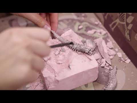 Dino Ausgrabungs - Set Triceratops