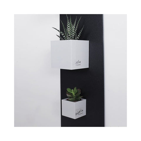 KalaMitica® Magnetische Würfelbehälter Neodym, Ø 3,5-6-9, Icegrau