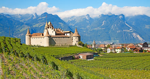 CAVE DE LA CÔTE - Gama Belle Bernard Ravet - 🍷 Swiss Red Wine, 2015 Vintage 🏔️🍇