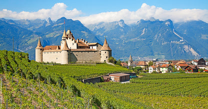 CAVE DE LA CÔTE - Kursner Red Absolute - Swiss Gamaret-Garanoir  🍷 -  Taste the Swiss Terroir 🍇