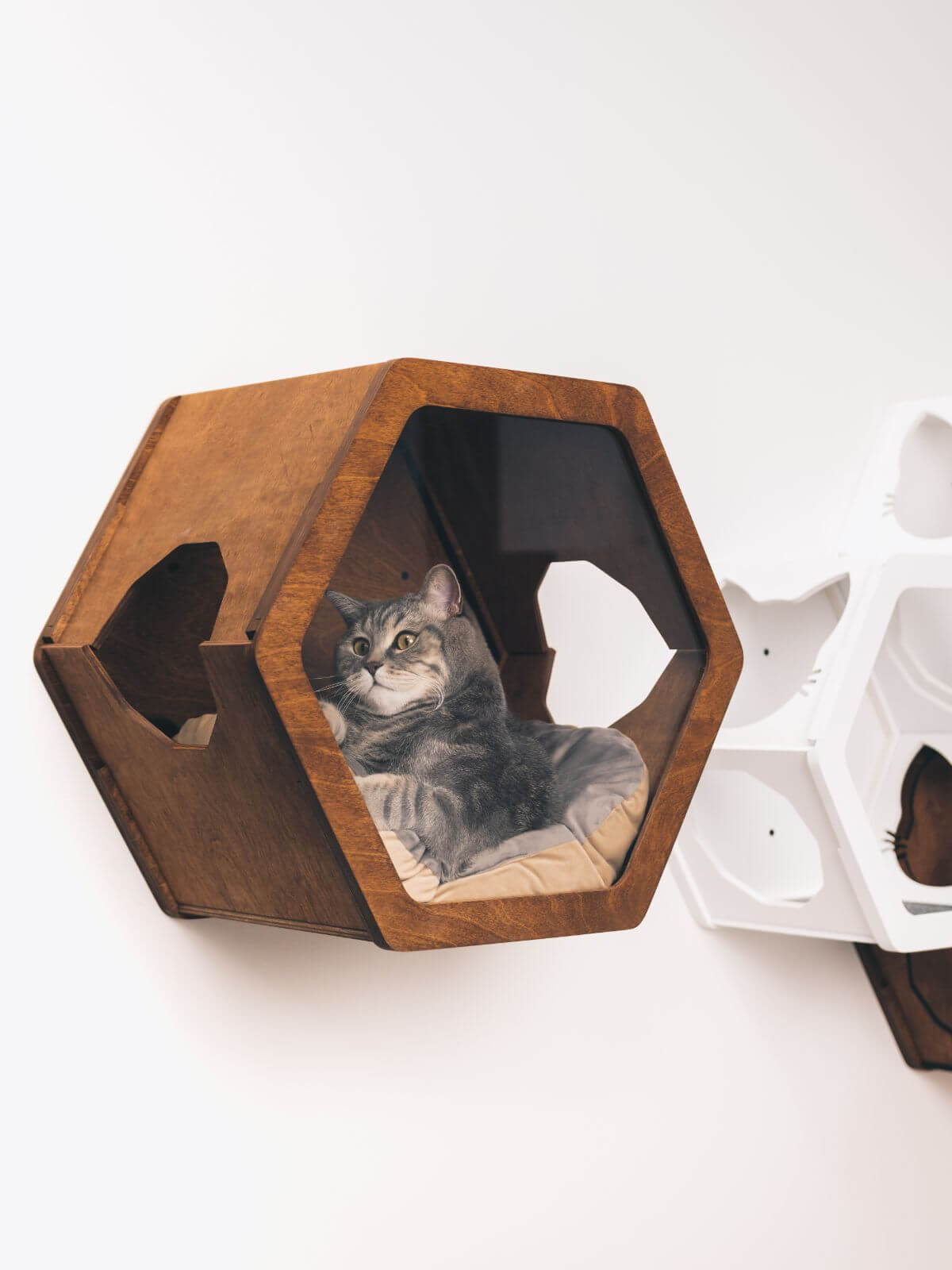 hexagon cat house