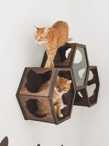 cat wall mounted shelves