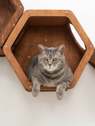 wall mount cat shelves