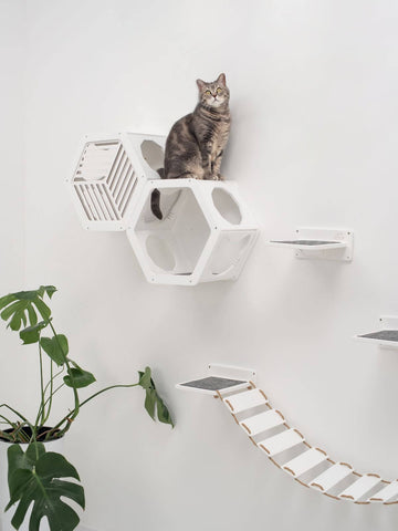 wall mount cat shelves