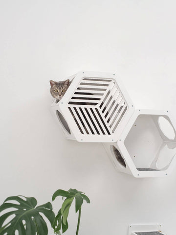 wall shelves for cats to climb