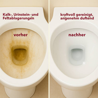 WC-Reiniger, dickflüssig, pH <2, Gefahrengut UN3264, Palette mit 60 Kanister à 10 Liter