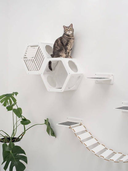 honeycomb cat shelves