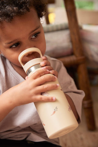 FILIBABBA - Vandflaske i rustfrit stål - Eventyrklar! 🥕