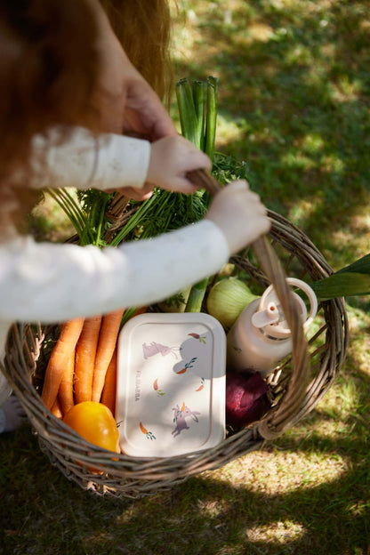 FILIBABBA - Silikonslunchlåda - Söt & Hållbar 🍱