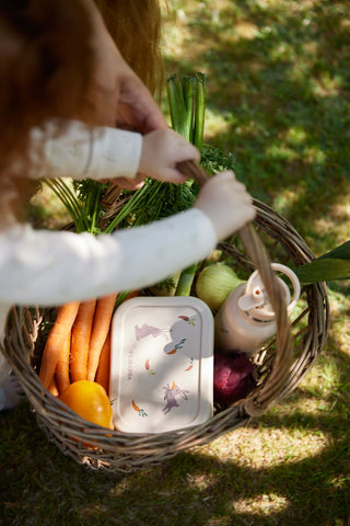 FILIBABBA - Silikonslunchlåda - Söt & Hållbar 🍱