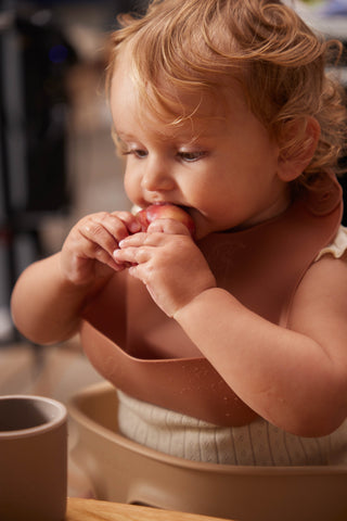 FILIBABBA - Силіконовий нагрудник - Насолоджуйтеся безпомилковими прийомами їжі! 🐿️✨