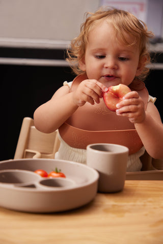 FILIBABBA - Силіконовий нагрудник - Насолоджуйтеся безпомилковими прийомами їжі! 🐿️✨