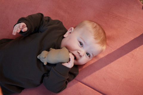 FILIBABBA - Bertram björnen nappring - Naturligt kul för bebisar 🐻🍼