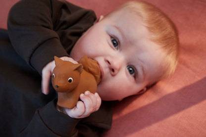 FILIBABBA - Sonja l'Hérisson Teether - Amusement Naturel pour Bébés 🐿️