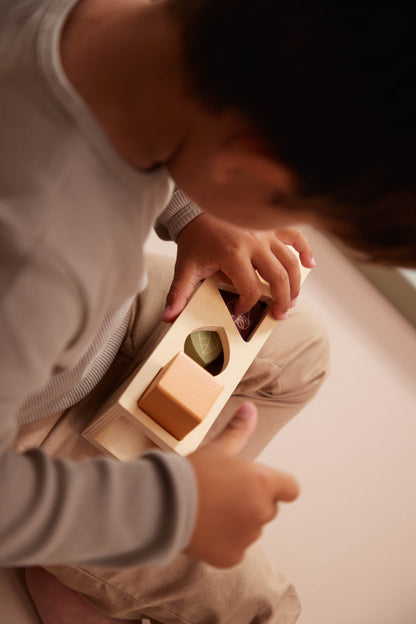 FILIBABBA - Træform Sorterer - Sjovt & Læring! 🎨🐾