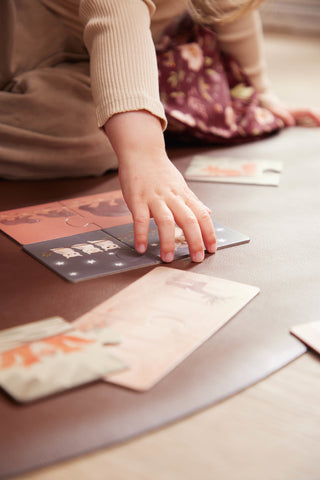 FILIBABBA - Genitore & Bambino Puzzle - Scopri gli Animali Nordici! 🧩✨