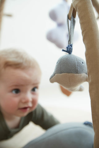 FILIBABBA - Willie the Whale Toy - Playful & Eco-Friendly Fun 🐋