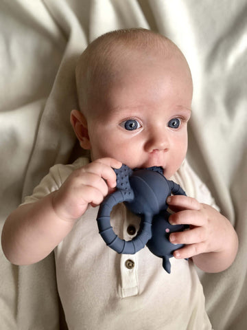FILIBABBA - Felix the Fly Teether - Pure Comfort for Babies 🍼