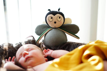 FILIBABBA - Balder de Kever Speelgoed - Schattige Speelvriend 🐞