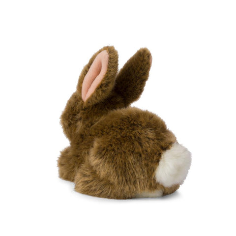 WWF Plüsch - Cuddly Brown Bunny, 19 cm - Adorable Plush Rabbit 🐰❤️